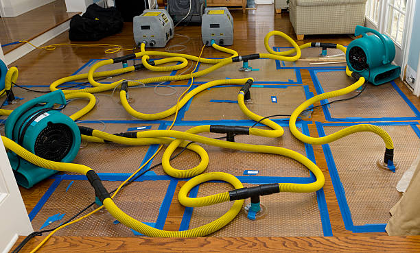 Professional Flood Damage Restoration technician working in Rosebush, MI