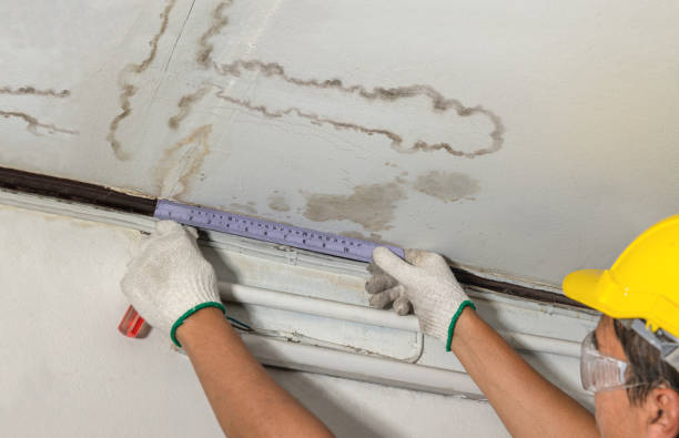 Affordable Water Damage Repair solutions in Rosebush, MI